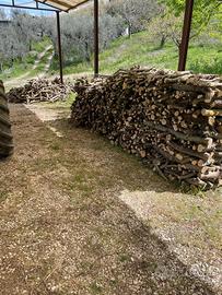 LEGNA DA ARDERE - ULIVO