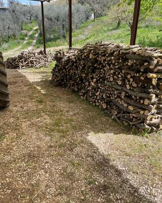 LEGNA DA ARDERE - ULIVO