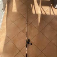 Set con due canne da pesca spinning