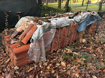 Coppi cotto di Possagno anticati