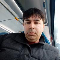 Tuttofare pulizie domestiche spesa compagnia