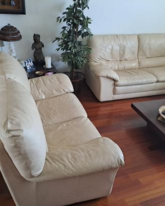 Divani in vera Pelle Fiore by Natuzzi