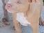 Immagine 6