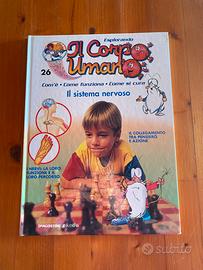 Esplorando il corpo umano il sistema nervoso