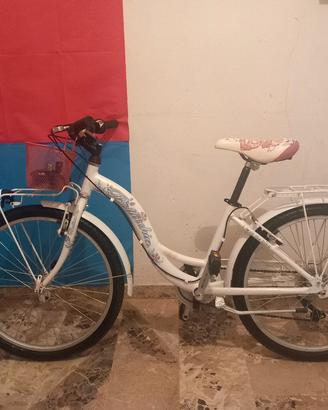  BICICLETTA BOTTECCHIA MISURA 24