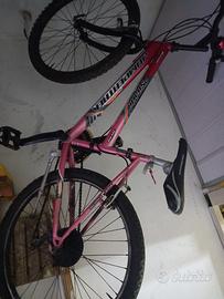 bici  Mountain bike