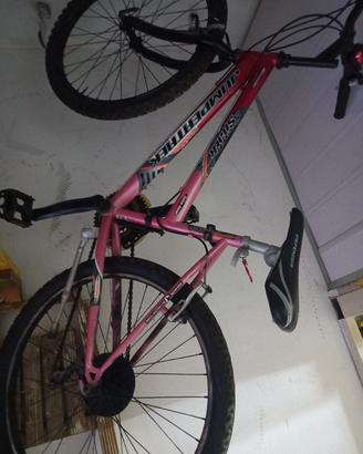 bici  Mountain bike