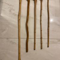 Bastoni artigianali in legno da montagna/funghi