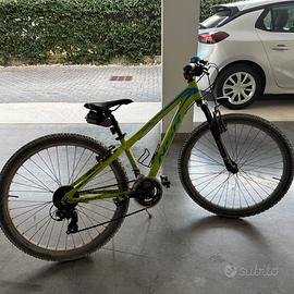 Bici mountain bike