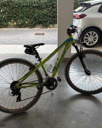 Bici mountain bike