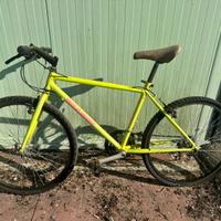 Bicicletta mountain bike