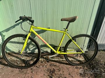 Bicicletta mountain bike