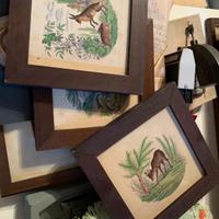 Sala frattinoimpagliati/ceramiche/tavolo noce 1850