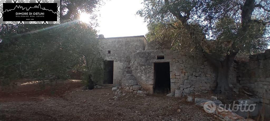 CASOLARE CON TRULLO SARACENO e LAMIA - OSTUNI - Vista 3