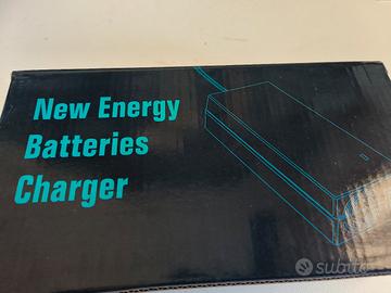 Carica batterie lifepo4 