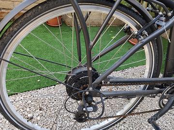 bici pedalata assistita 
