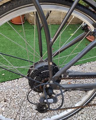 bici pedalata assistita 