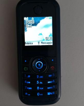 Cellulare Motorola W205