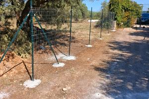 Terreno edificabile con uliveti