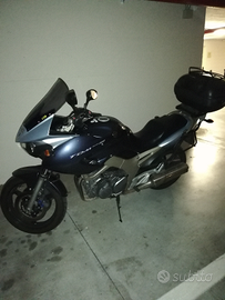 Yamaha tdm 900 anno 2004