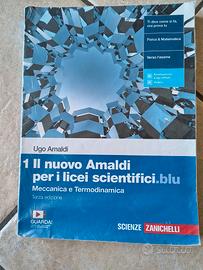 IL NUOVO AMALDI PER I LICEI SCIENTIFICI BLU VOL 1