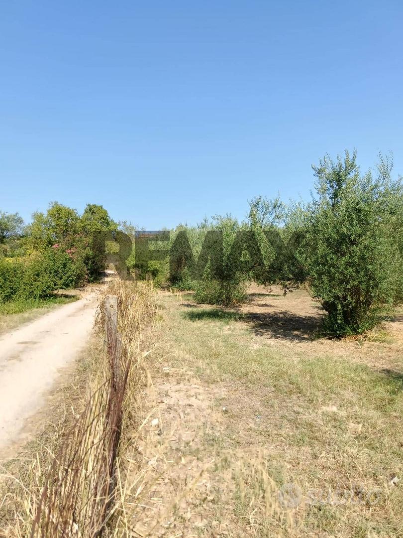 Terreno Edificabile - Mazzarrone - Vista 5