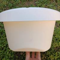 Vaschetta bagnetto bimbo.