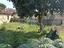 Immagine 9