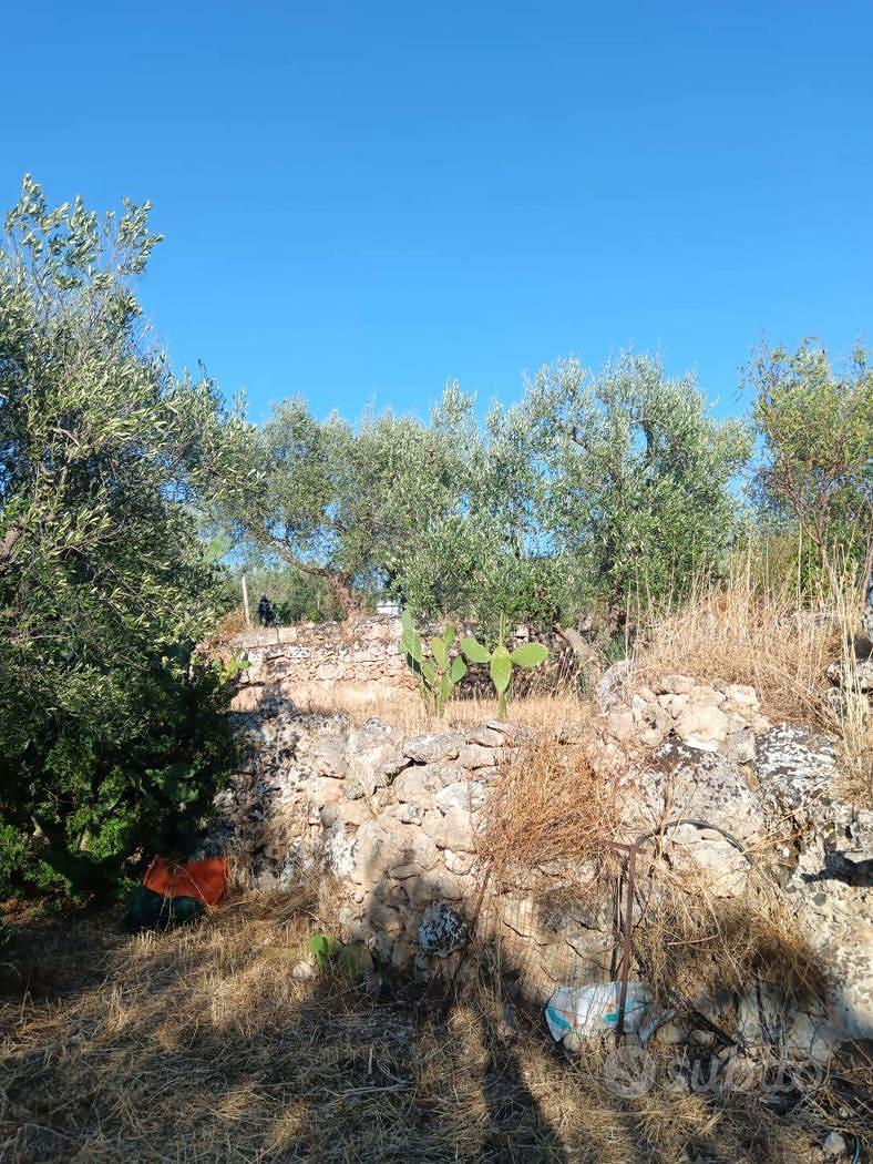 Terreno Agricolo Crispiano [Cod. rif 3334098VRG] - Altro