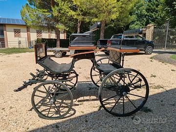 Carrozza spider