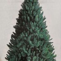 Albero di Natale "Ciuffolotto"
