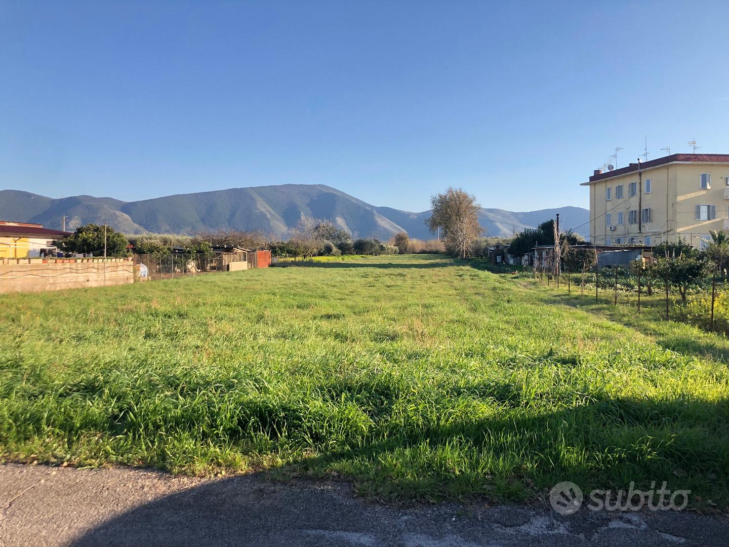Terreno agricolo Cellole (CE) - Vista 3