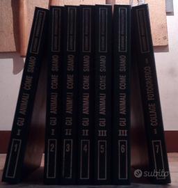 Gli animali come siamo di Luciano Pennacchiotti