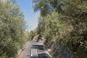 oliveto  a Pago del Vallo 