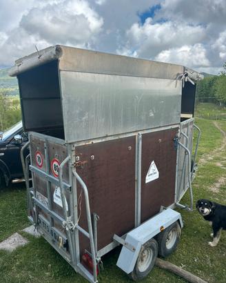 Trailer 1 posto