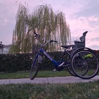 bicicletta 3 ruote