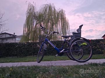 bicicletta 3 ruote