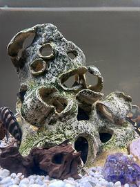 Decorazioni benefica acquario marca cretaqua