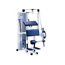 Standing Leg Curl Technogym Silver ricondizionata
