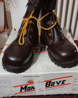 Anfibi Monte Bove