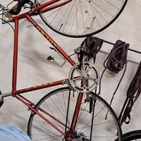 Bicicletta vintage olmo