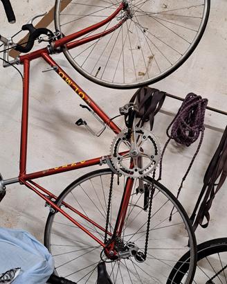 Bicicletta vintage olmo
