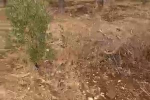 Terreno agricolo a Modugno (BA) 3.705 mq