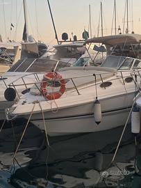 ChaparralSignature260