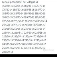 catene neve per auto non catenabili 