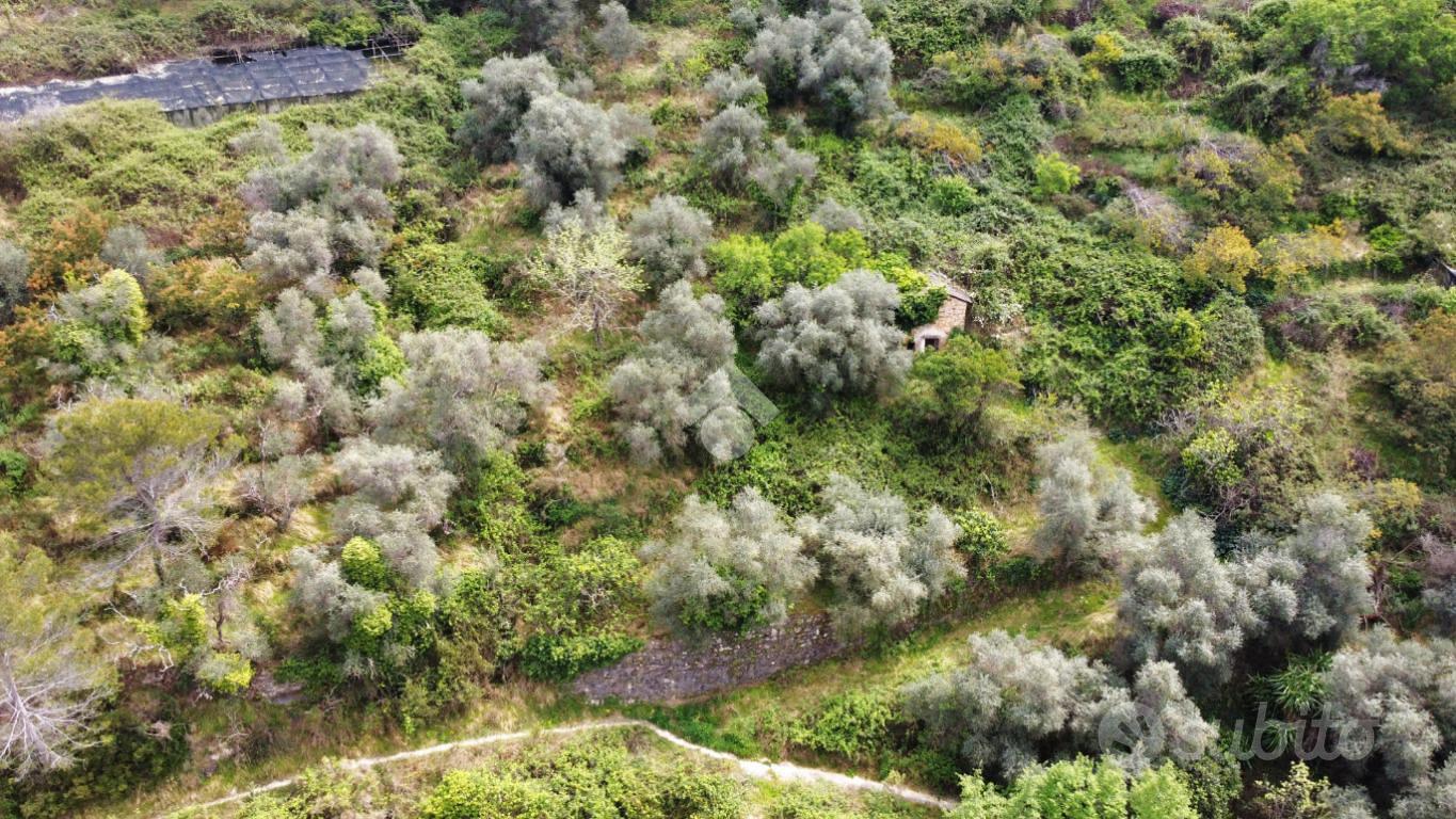 RUSTICO A VALLEBONA - Vista 4