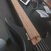 Basso elettrico 5 corde