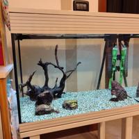 Acquario askoll pure L