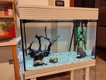 Acquario askoll pure L