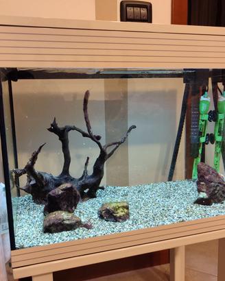 Acquario askoll pure L